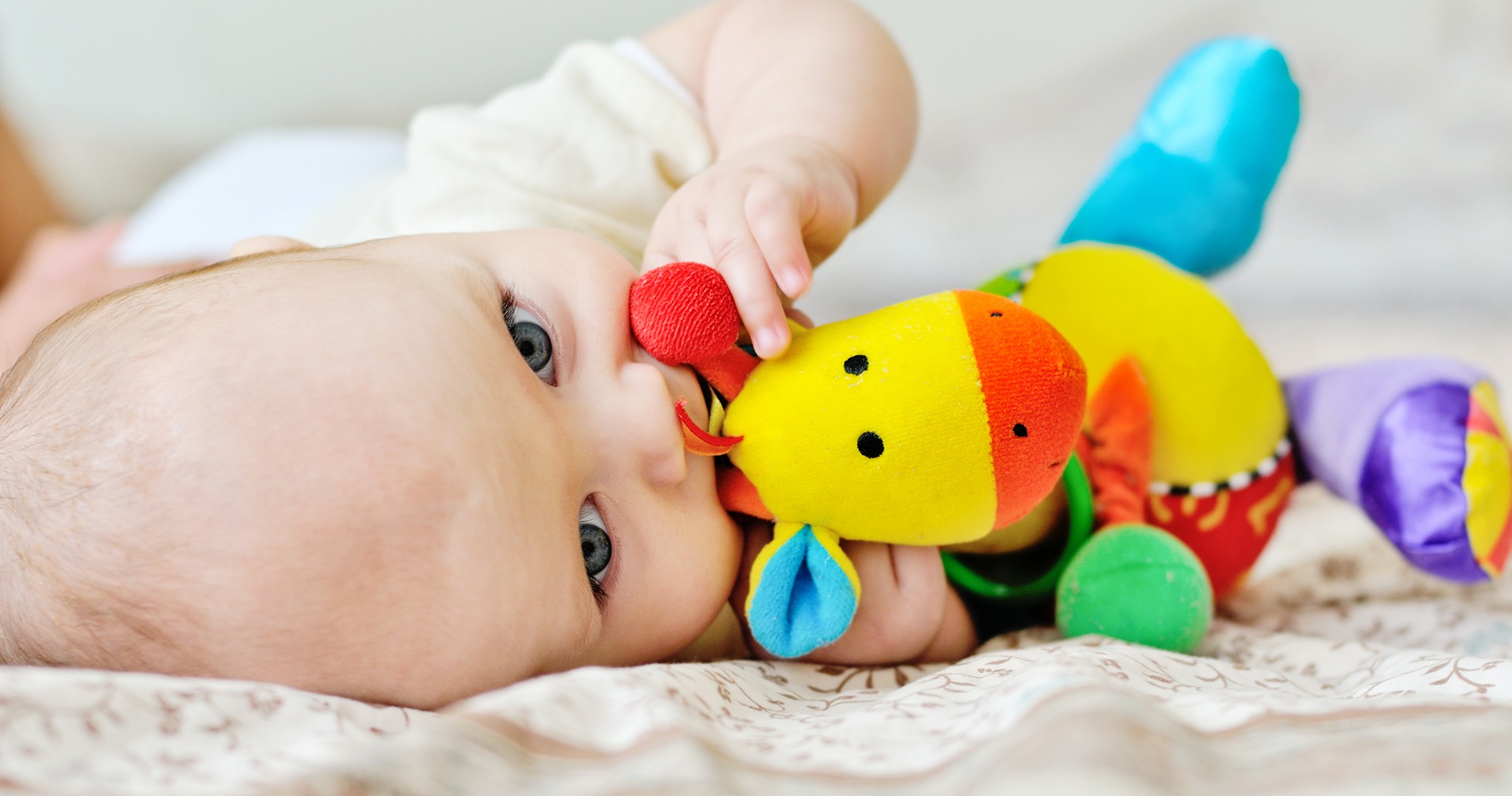 Jouet bébé de 6 mois : comment le choisir ? 