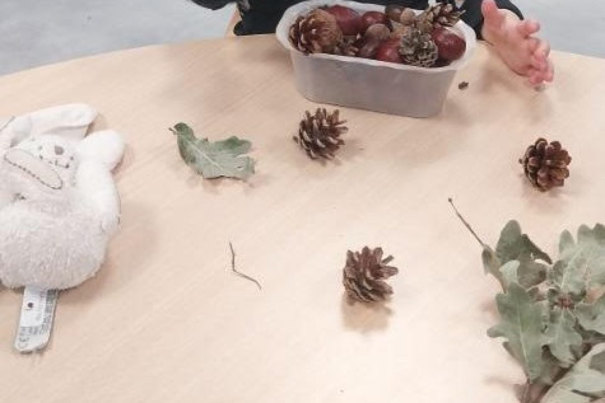 DIY : faire de la musique avec les elements de la nature