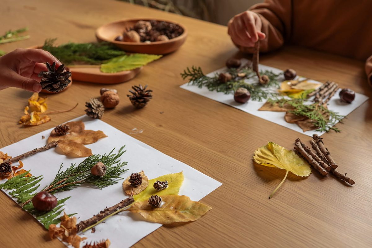 faire entrer la nature en intérieur _ Rigolo Comme La Vie