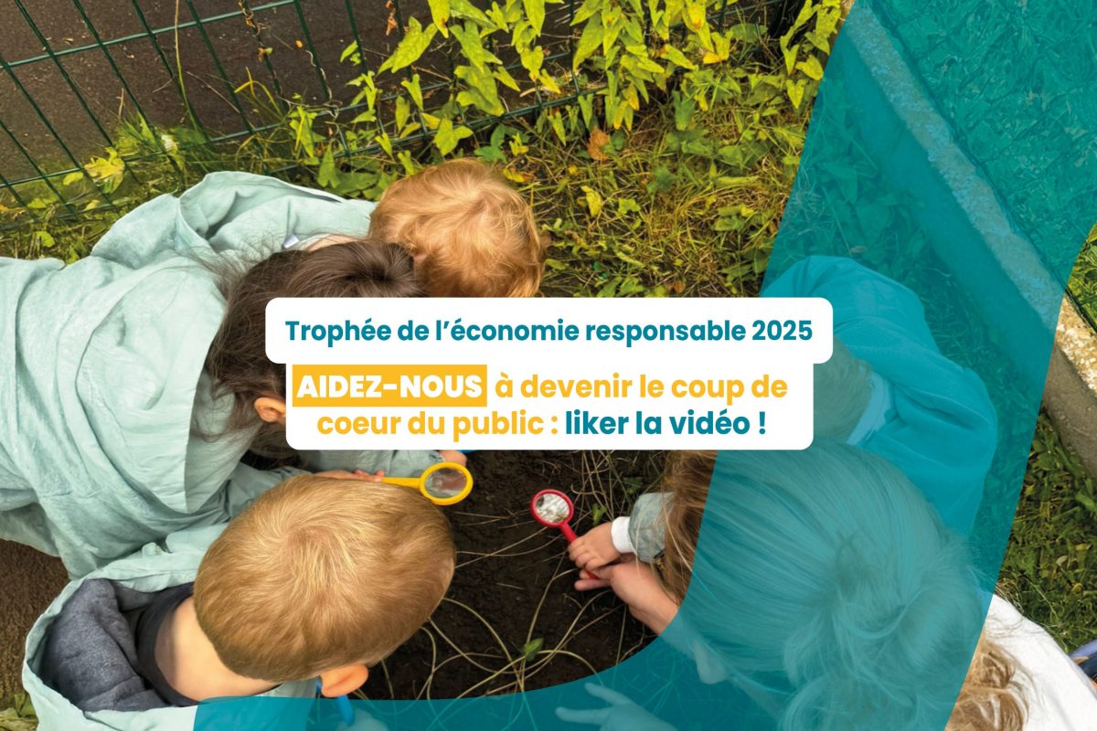 visuel site web